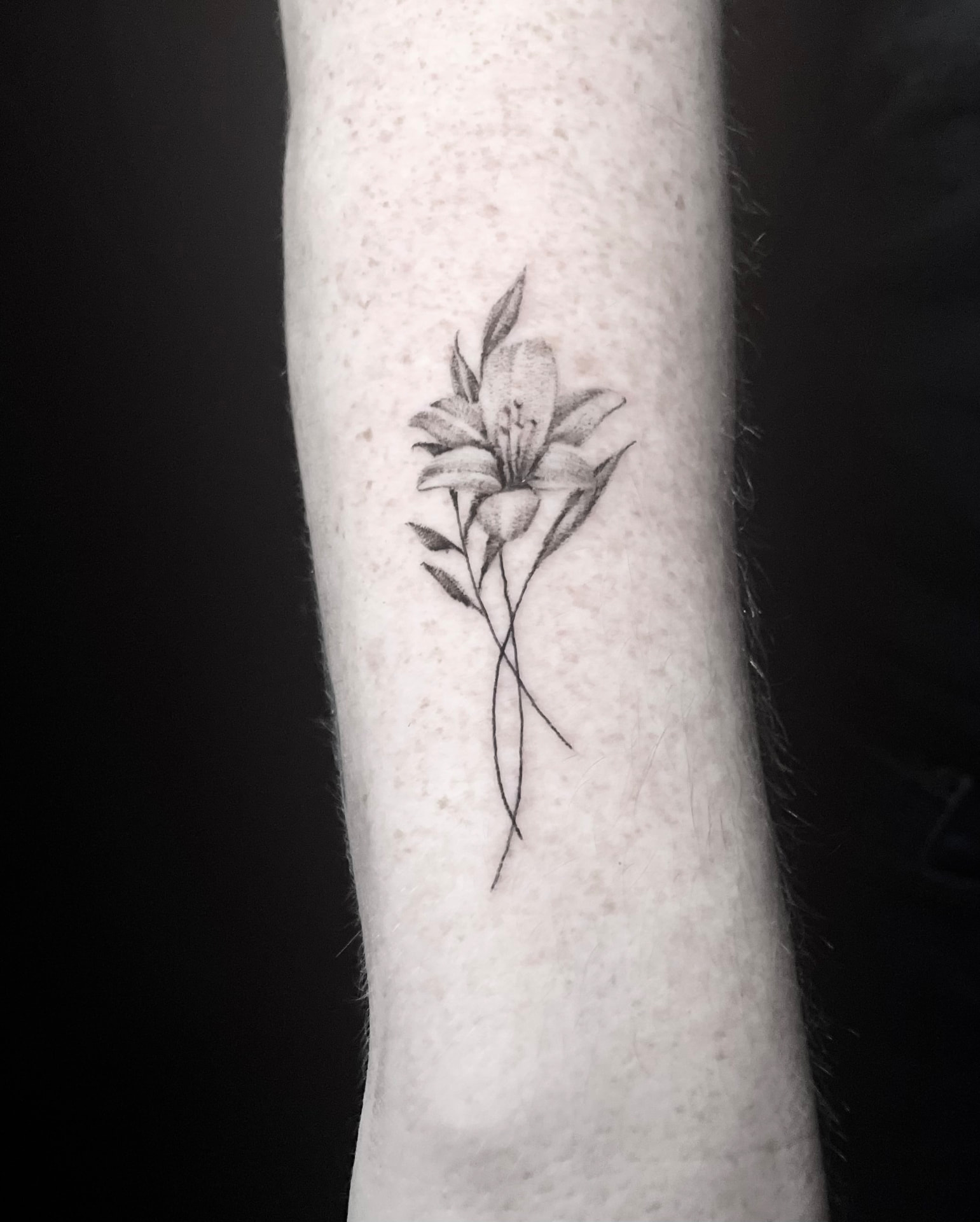 Small fine line lily tattoo on the forearm.