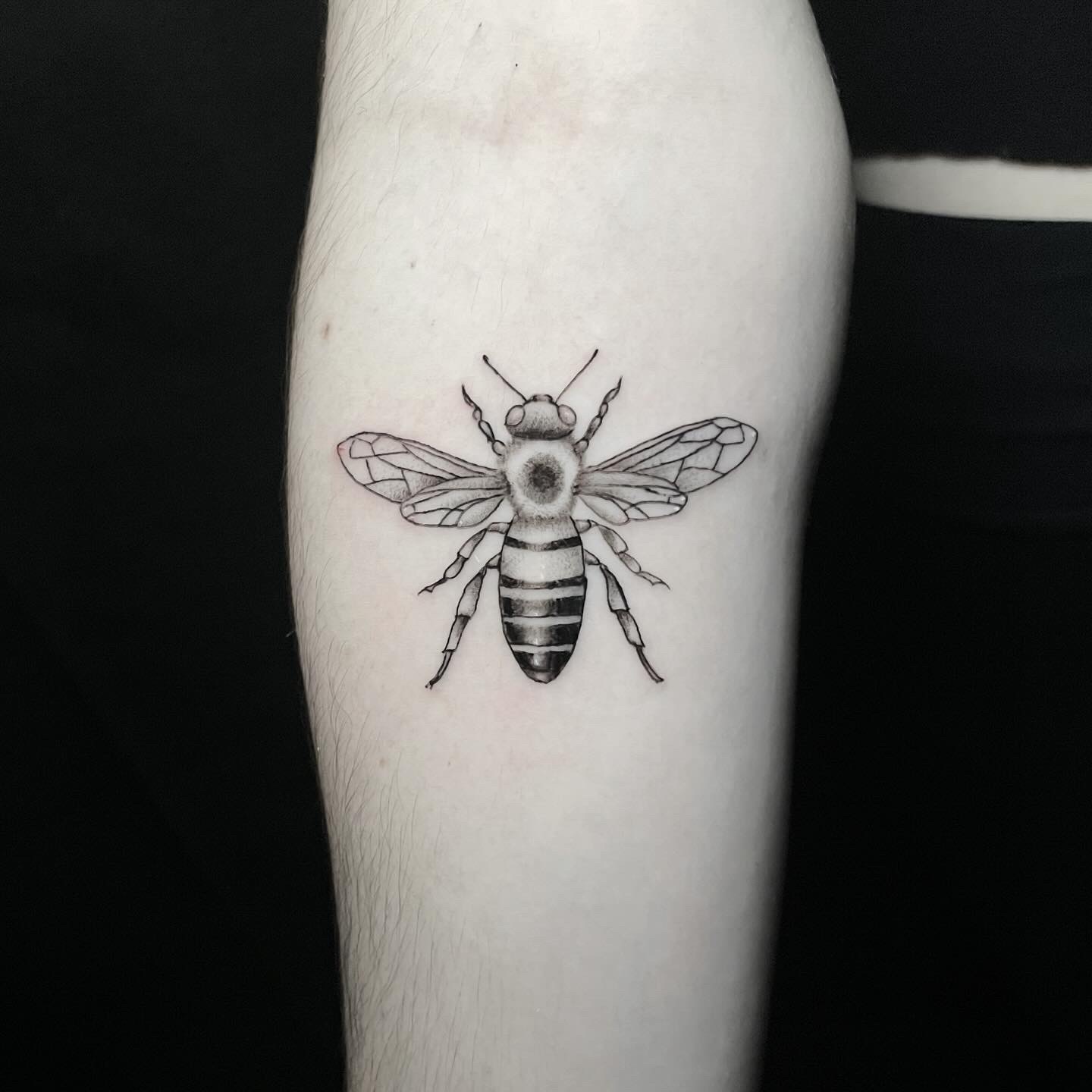 Fineline honey bee tattoo with detailed wings on the upper arm.