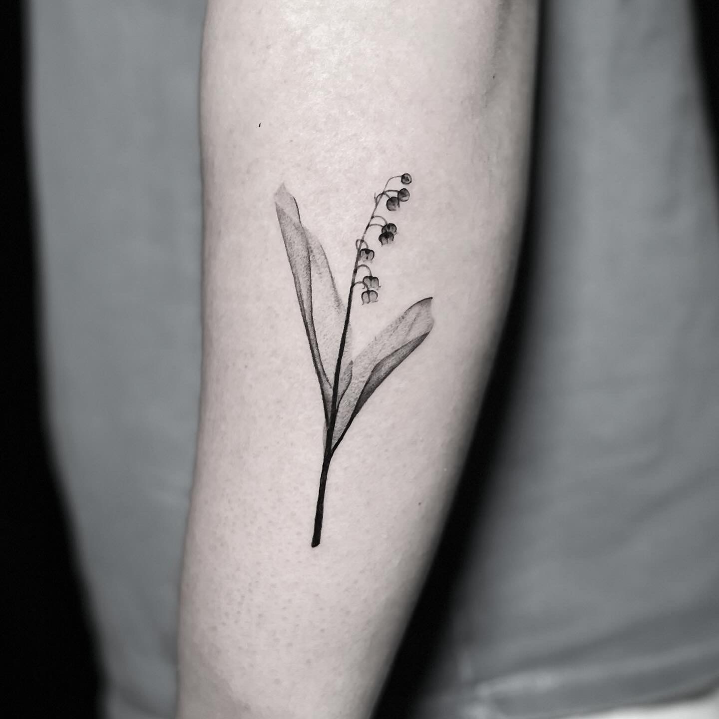 Fine line lily of the valley tattoo in soft black and grey on the inner arm.