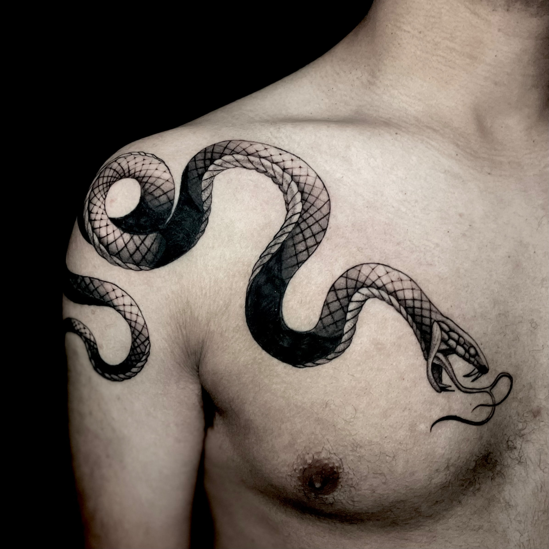 Black and grey snake tattoo coiling from the shoulder across the chest.