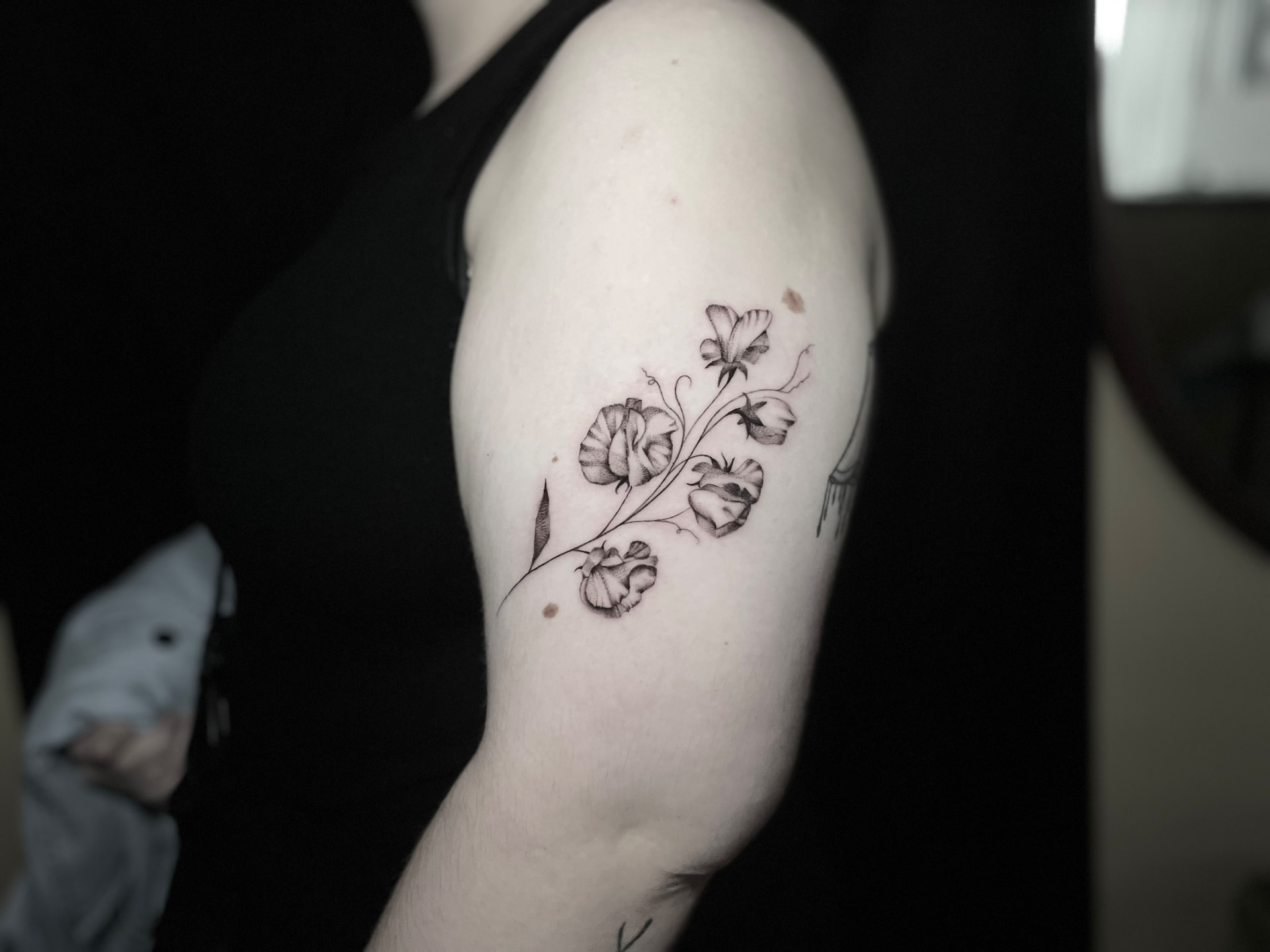 Fine line sweet pea flower tattoo on the upper arm.