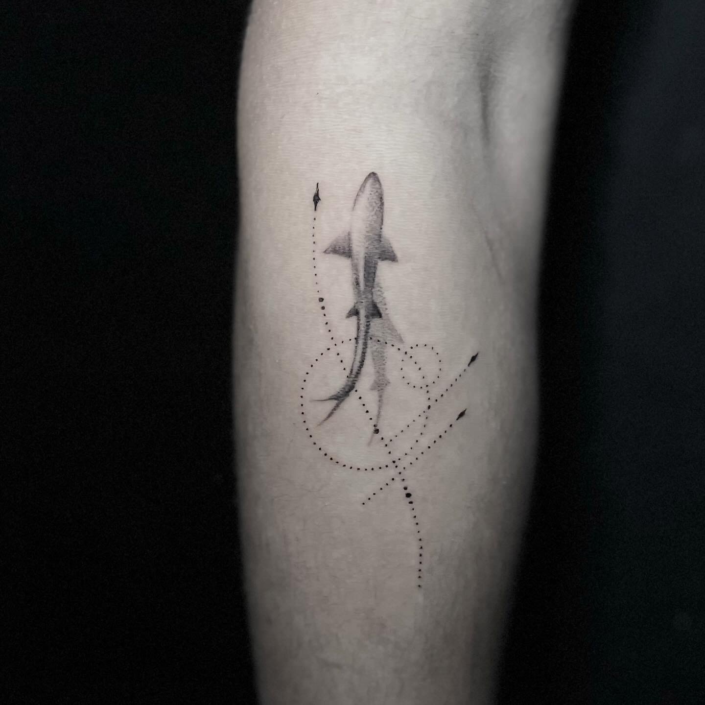 Fine line shark tattoo surrounded by dotted-line trails on the forearm.