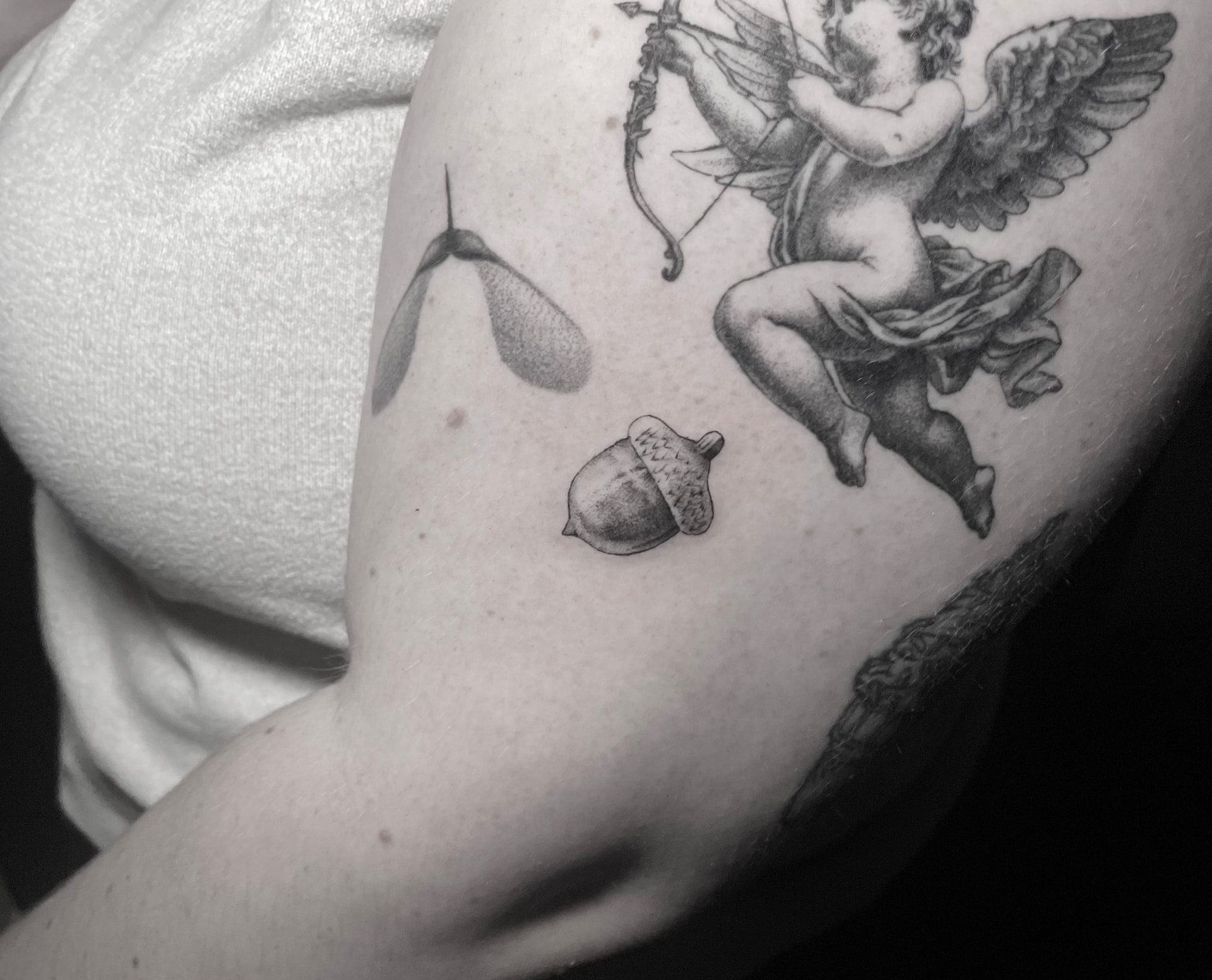 Small fine line acorn tattoo on the upper arm beside existing tattoos.